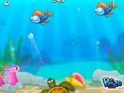 Bubafish - Online Free Game