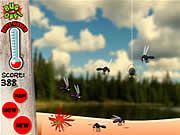 Bug Off - Online Free Game