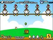 Chicken Egg - Online Free Game