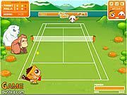 Crazy Tennis - Online Free Game