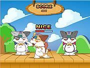 Play Dance Cat Game