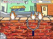 Feed the Cat - Online Free Game