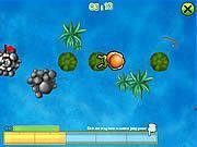 Frod The Frog - Online Free Game