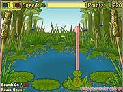 Froggie The Fly Catcher - Online Free Game