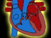 Heart Matching - Online Free Game