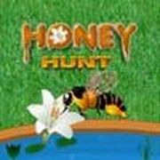 HoneyHunt - Online Free Game