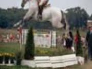 Horse Jumping Jigsaw - Online Free Game