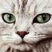 Lost Numbers 2 - Online Free Game