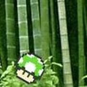 Play Mushroom Collector 2 Game Play Mushroom Collector 2 Game