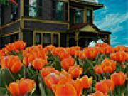 MyGarden hide and seek - Online Free Game
