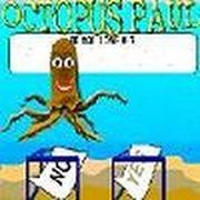 OCTOPUS PAUL - Online Free Game
