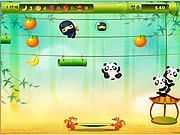 Panda Jump - Online Free Game