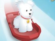 Pet Sledding - Online Free Game