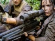 Predators quiz - Online Free Game