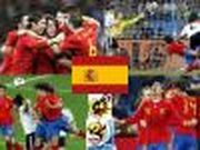 Play Puzzle Spain South Africa 2010 finalist Game