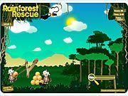 Play Rainforest Rescue Game