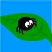 SpiderSpin - Online Free Game