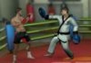 Play Spike Kickboxin Game