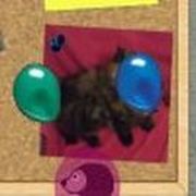 Spikey Hogz - Online Free Game