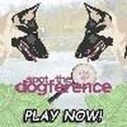 Spot The Dogference - Online Free Game
