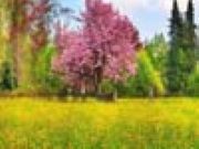 Stunning Nature Puzzles 2 - Online Free Game