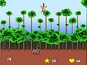 Play Super Racoon Game Play Super Racoon Game