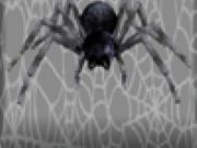 Tarantuloid Typing Terror - Online Free Game