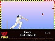 Top Spinner Cricket - Online Free Game