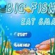 Big Fish est smaller