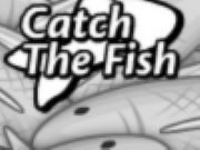 Catch The Fish