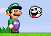 Dumbass Luigi