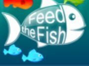 Feed the Fish