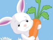 I Love Carrot