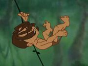 Tarzan Swing