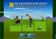 3d Championship Golf