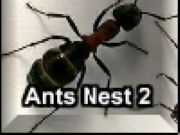 Ants Nest 2