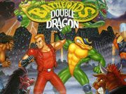 Battletoads and Double Dragon