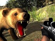 Bear Hunter 3D