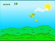 Birds Flying
