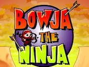 Bowja The Ninja