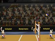 Bunnylimpics Volleyball