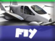 Carfly 4