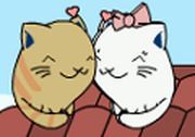 Cats in Love