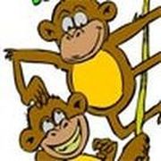 Coloring Jungle Monkeys