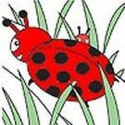 Cute ladybug coloring