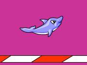 Dolphin Dash