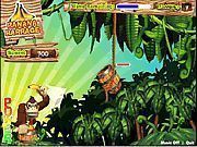 Donkey Kong Banana Barrage