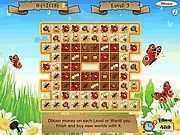 Doyu Gems