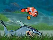 Fish Racing