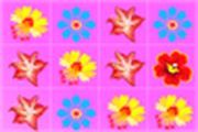 Flower Frenzy